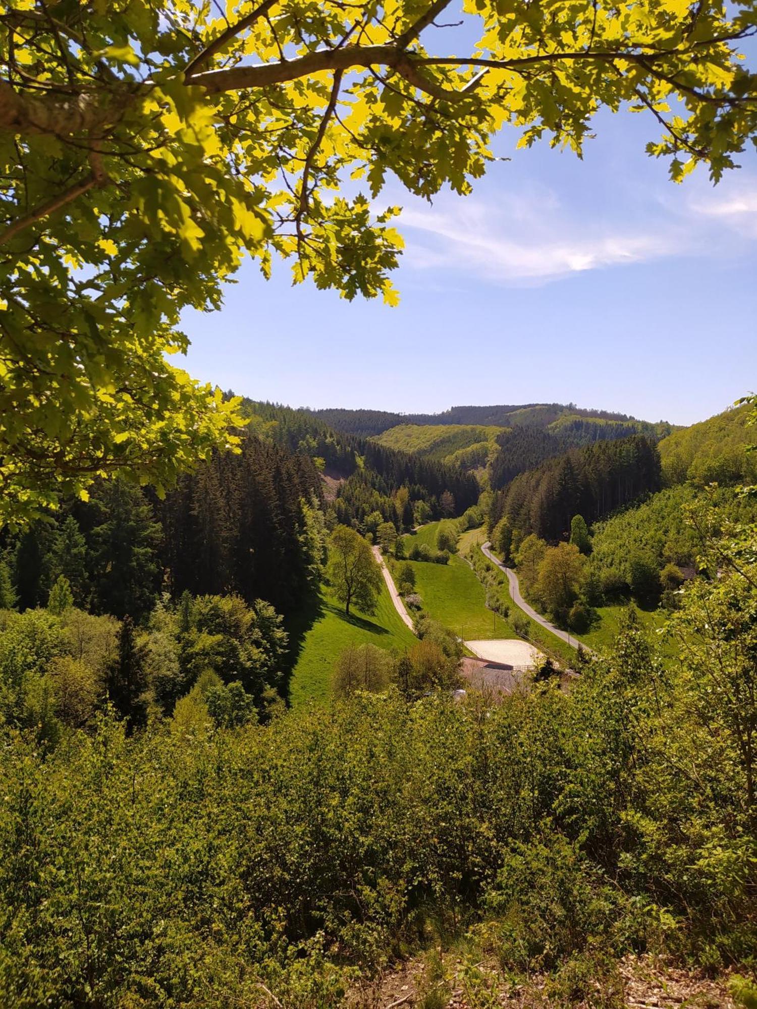 Ferienwohnung Sauerland Burgfenster Lennestadt Kültér fotó